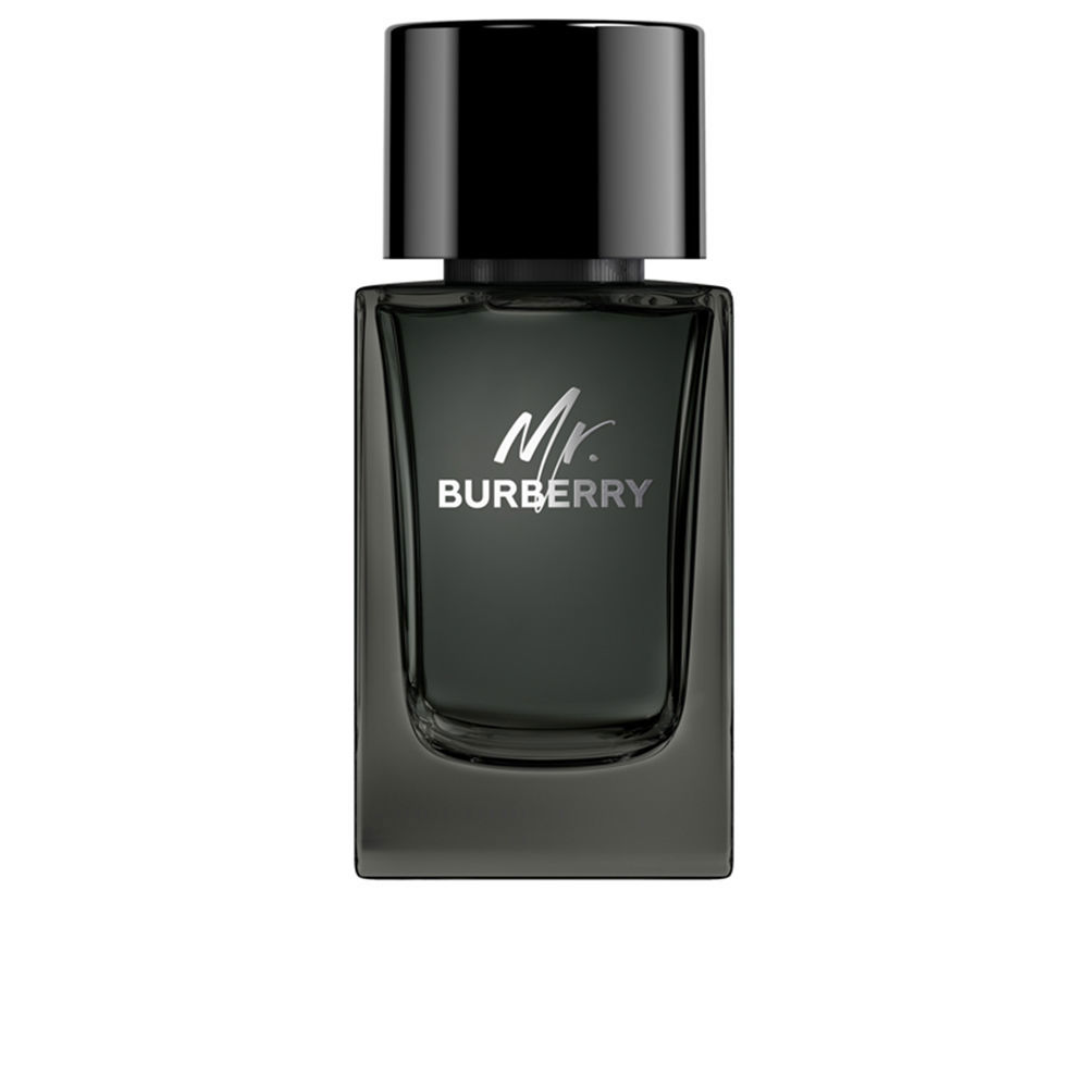 MR. BURBERRY eau de parfum vapor 100 ml