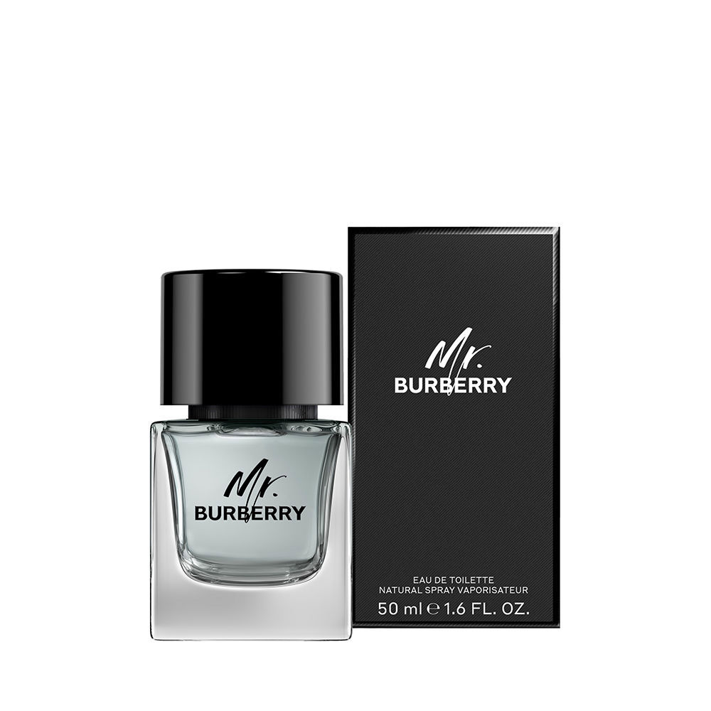MR BURBERRY edt vapor 50 ml