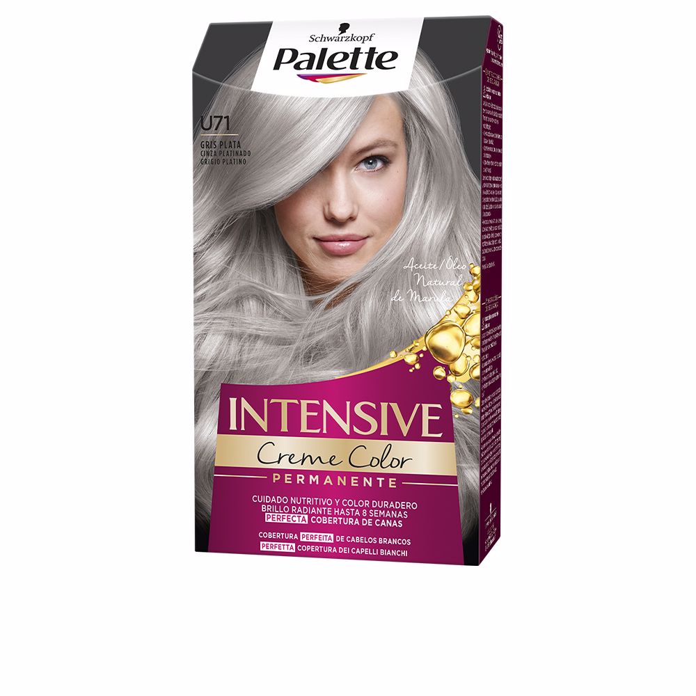 PALETTE INTENSIVE dye #U71-silver gray