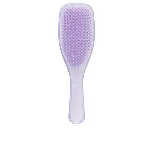 TANGLE TEEZER FINE & FRAGILE detangling hairbrush #Hypnotic Heather 1 u