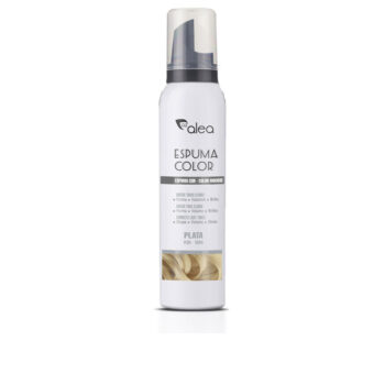 COLOR FOAM #silver 200 ml