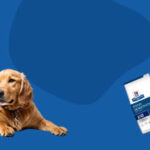 Mobile Slider Banner