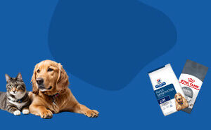 Mobile Slider Banner