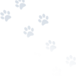 AcousticPro® roomdivider - Afbeelding 13